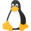 Linux Fortran